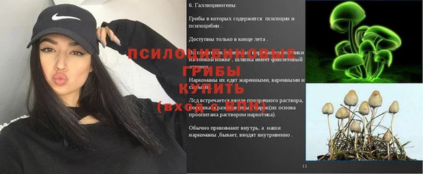apvp Елабуга