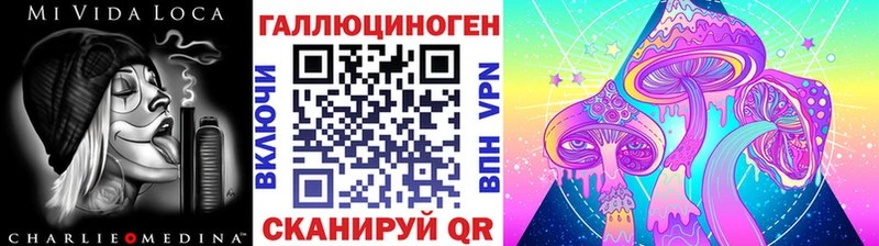 Галлюциногенные грибы Psilocybine cubensis  магазин продажи наркотиков  дарк нет Telegram  Нововоронеж 